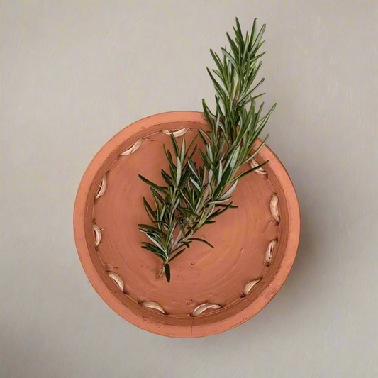 Chiquita Terracotta Bowl