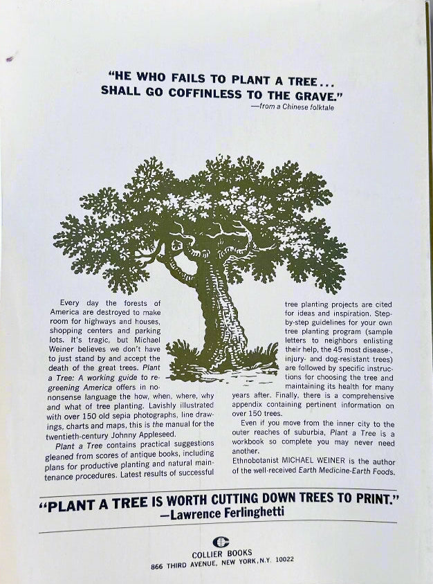 Booklet with tree illustration and text on a gray background