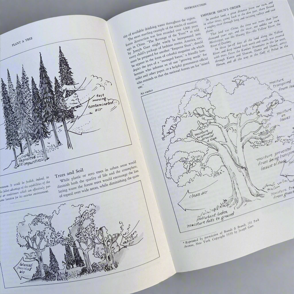 Plant a Tree: A Working Guide to Regreening America - 1975