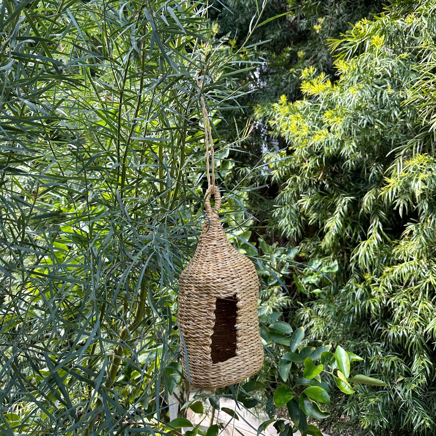 Photo of the cylinder birdhouse available. hanging on a tree. different angle.