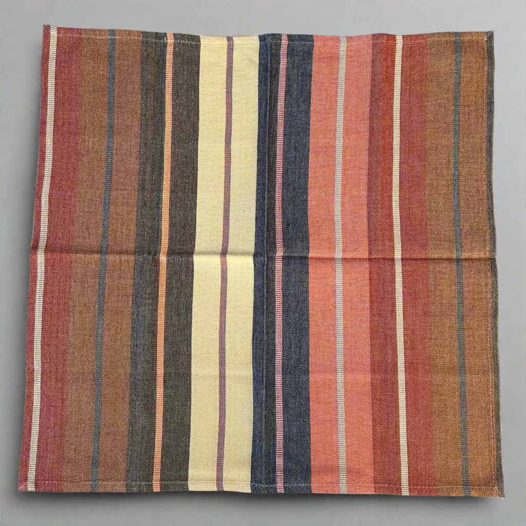 Handwoven Striped Cloth Napkins in Arroyo Stripe