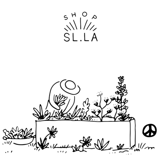 shop slla gift card illustration