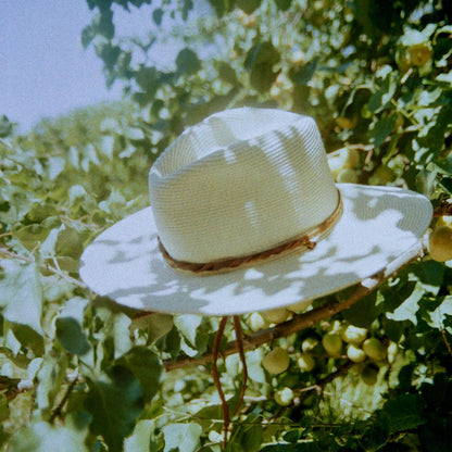 upclose of shop slla ojai hat detail