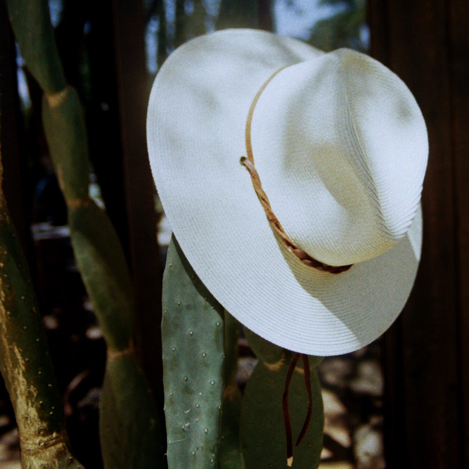 upclose of shop slla ojai hat detail