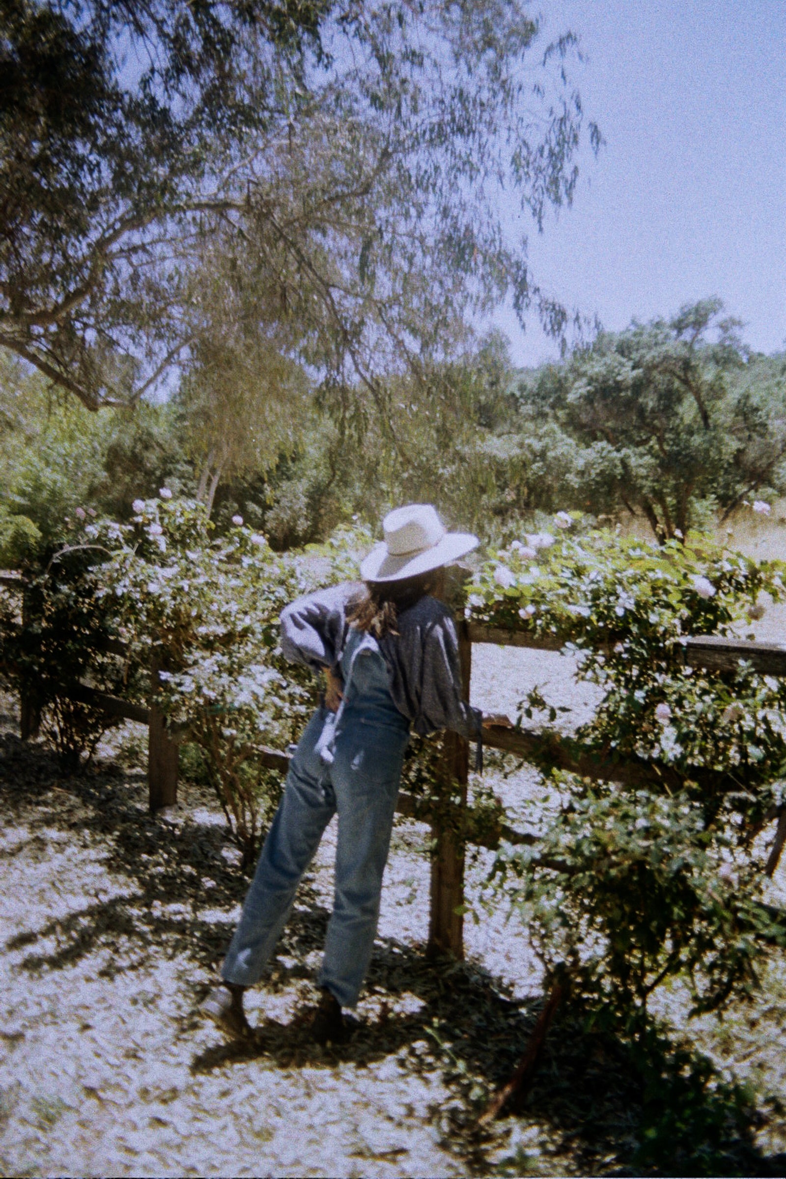 photo by sofia ziman (ojai, 2023)