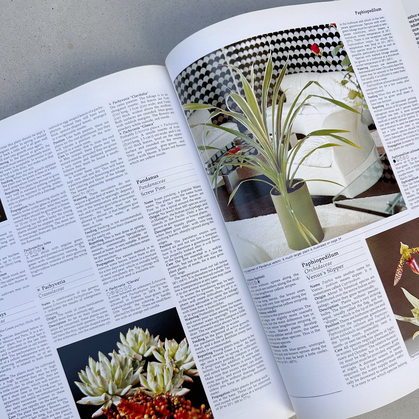 The New Good Housekeeping Encyclopedia of House Plants - 1990