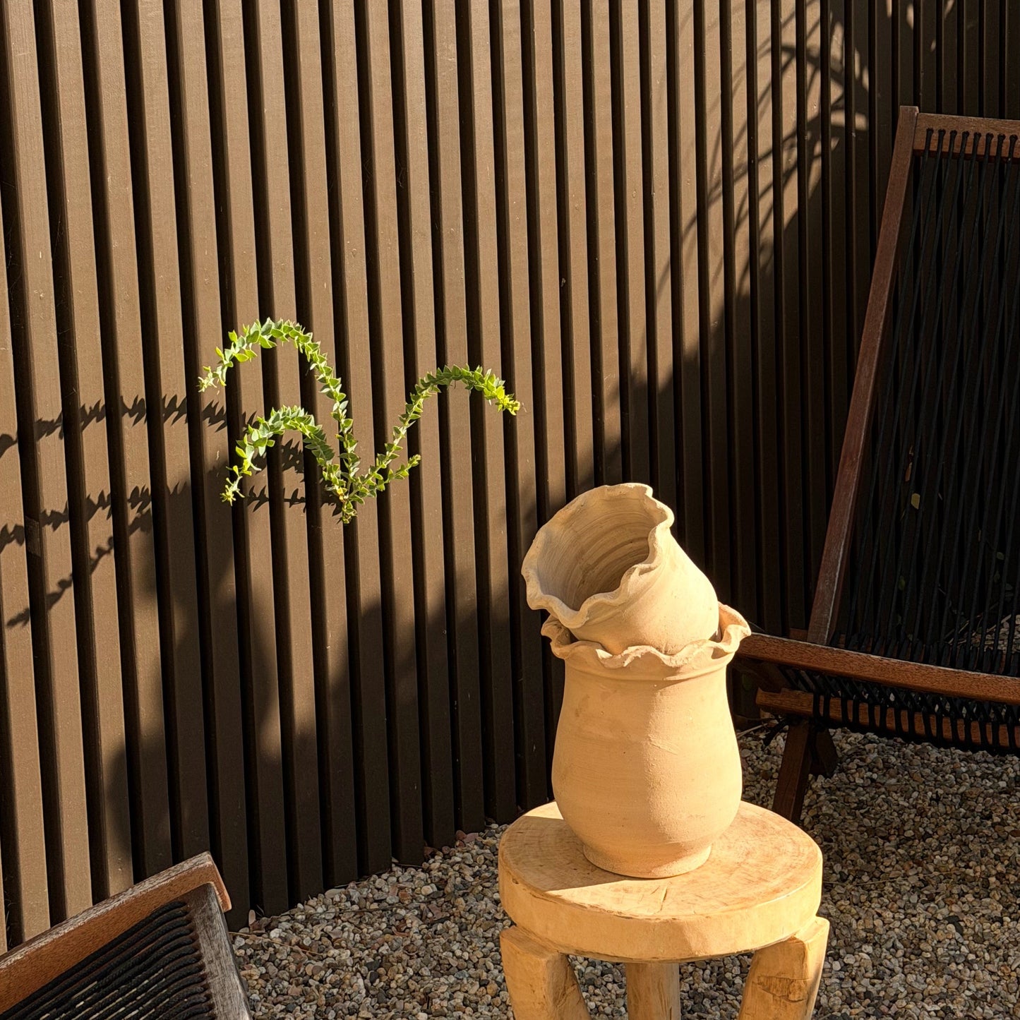 Terracotta pot on a wooden stool against a slatted fence with plants in the background
