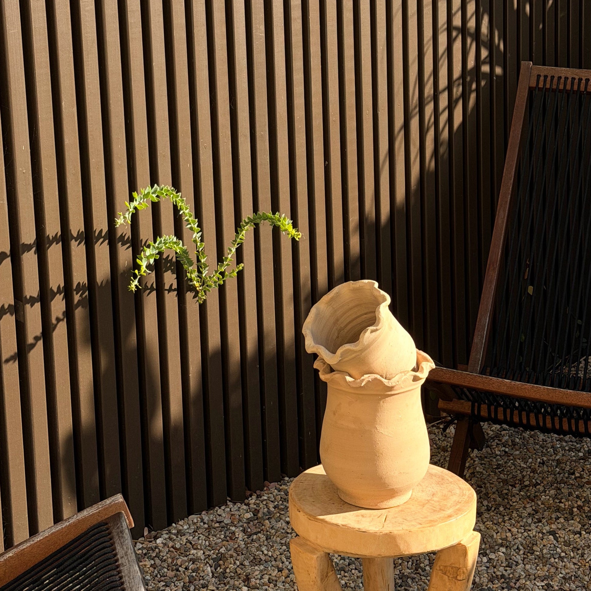 Terracotta pot on a wooden stool against a slatted fence with plants in the background