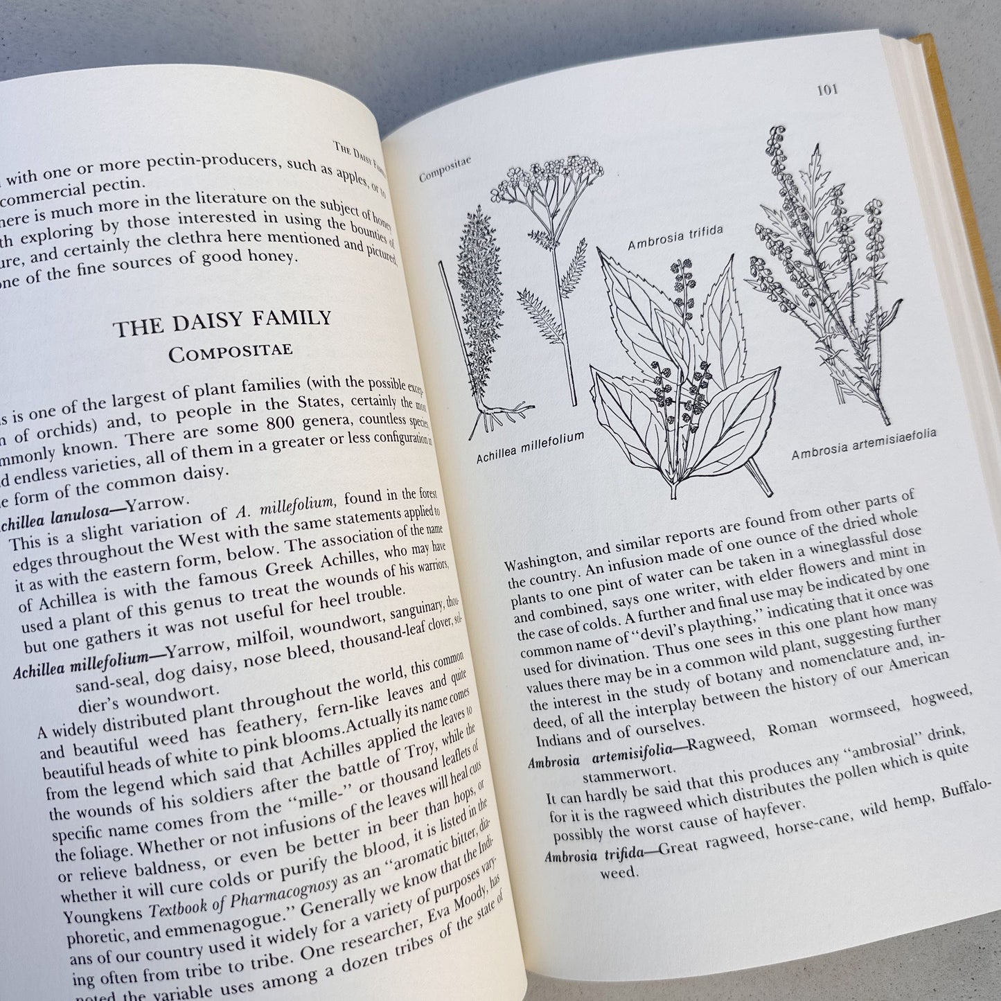 The Dictionary of Useful Plants - 1974