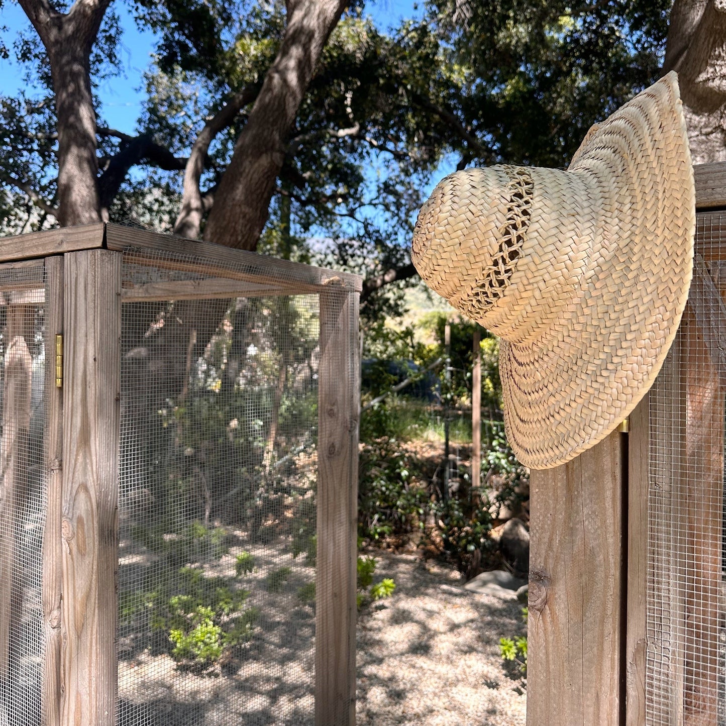 Woven Palm Straw Hat