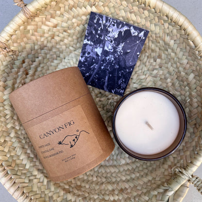 Canyon Fig Garden Candle