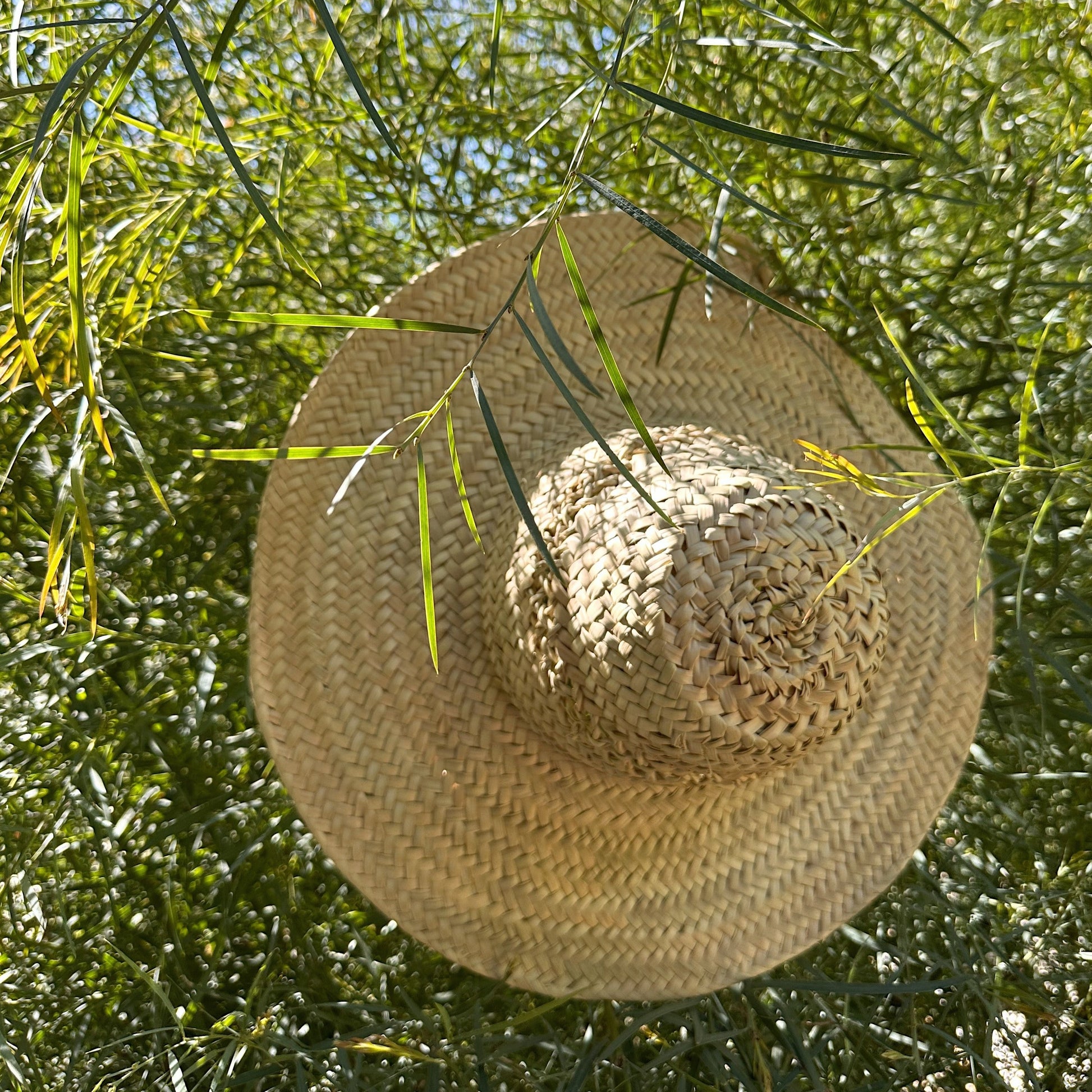 decorative woven hat photo hanging in tree