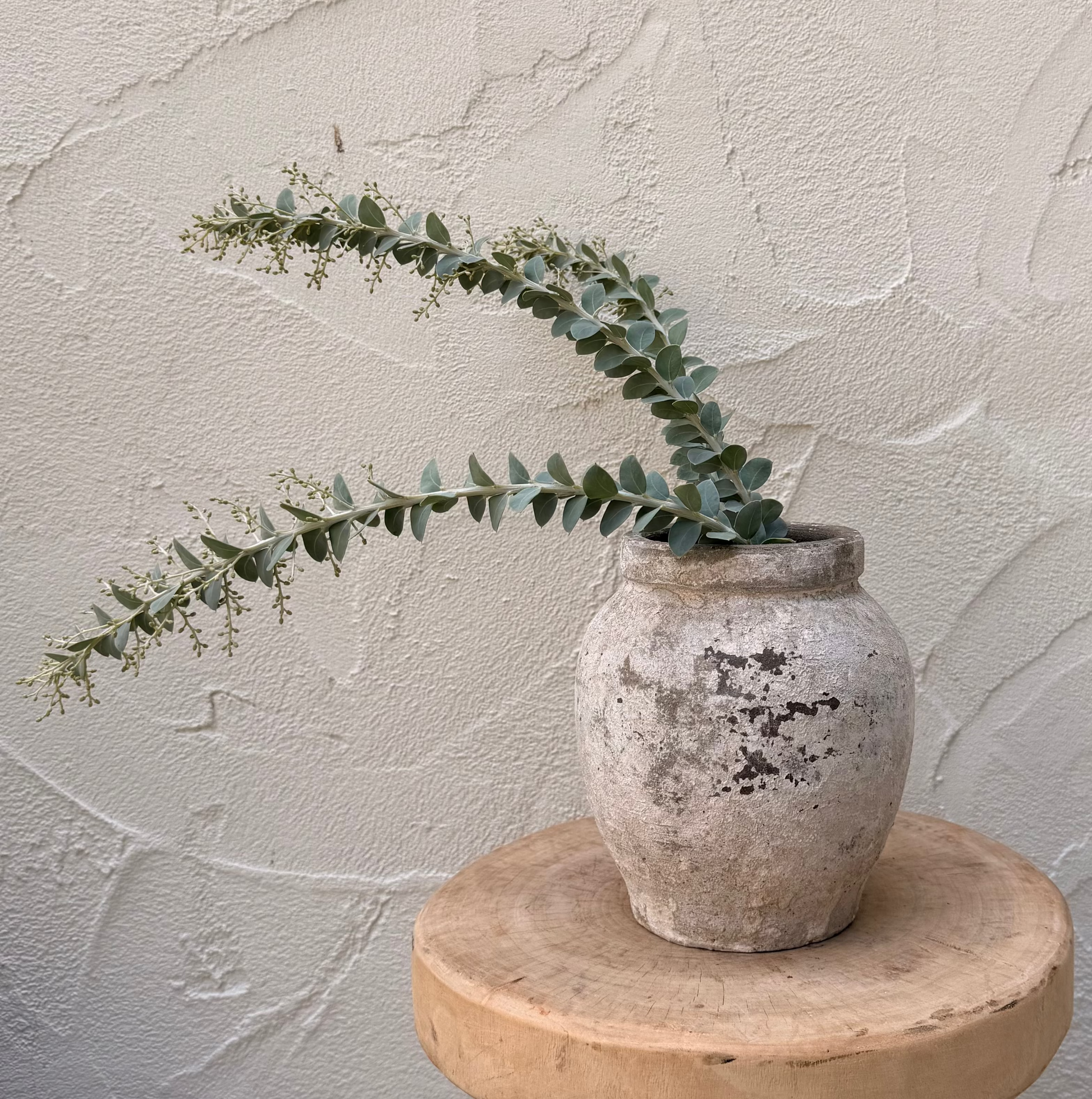 Vase with eucalyptus on a wooden stool against a textured wall.