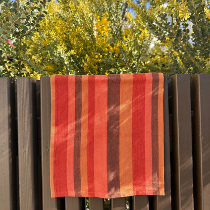 Handwoven Striped Cloth Napkins in Aztec Stripe