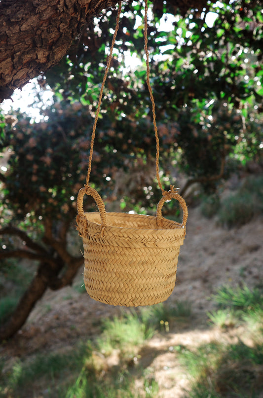 Palm Hanging Planter