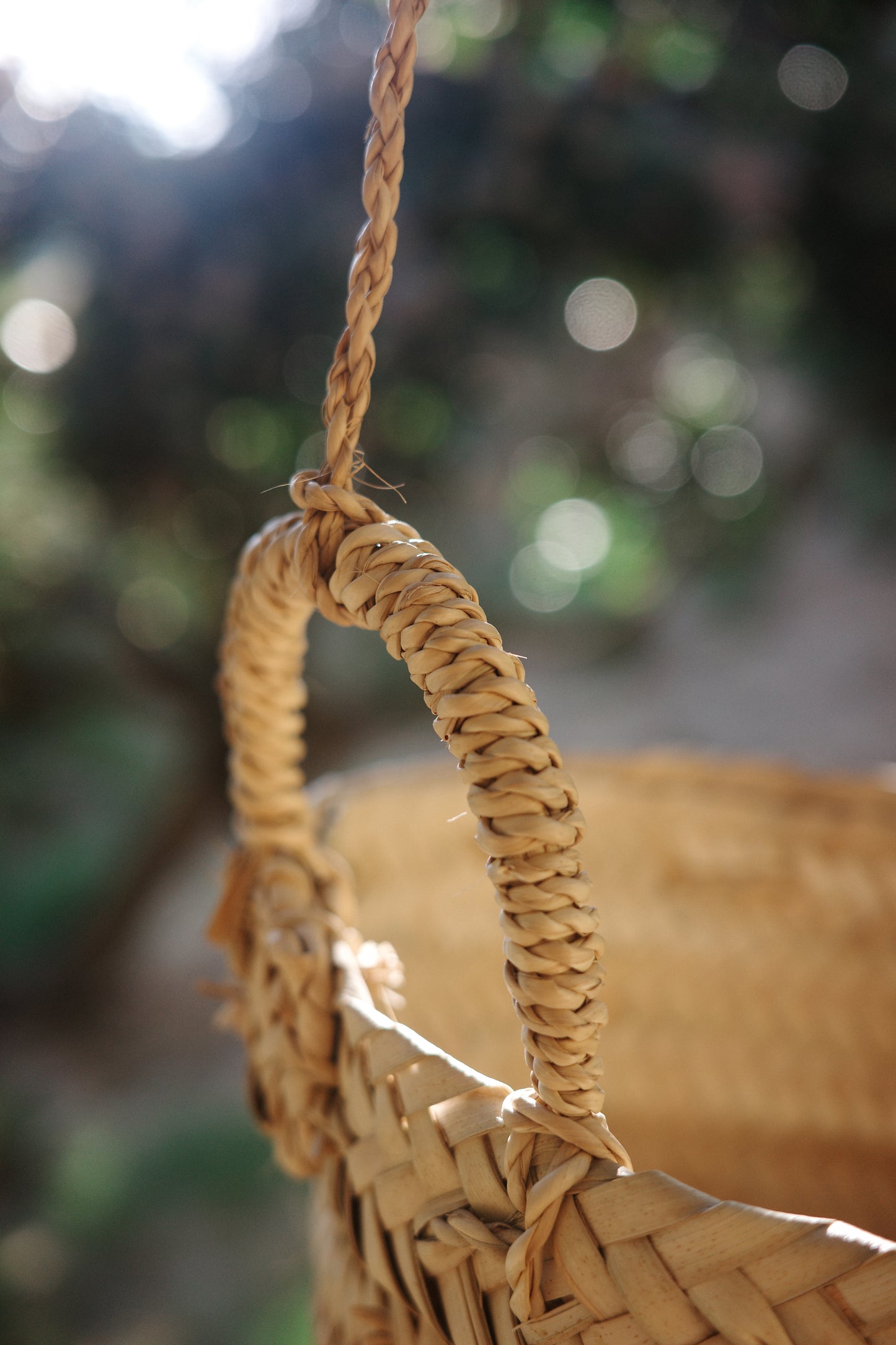 Palm Hanging Planter