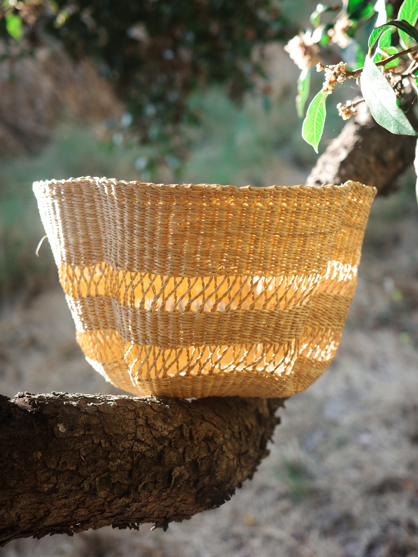 Wavy Lace Produce Basket