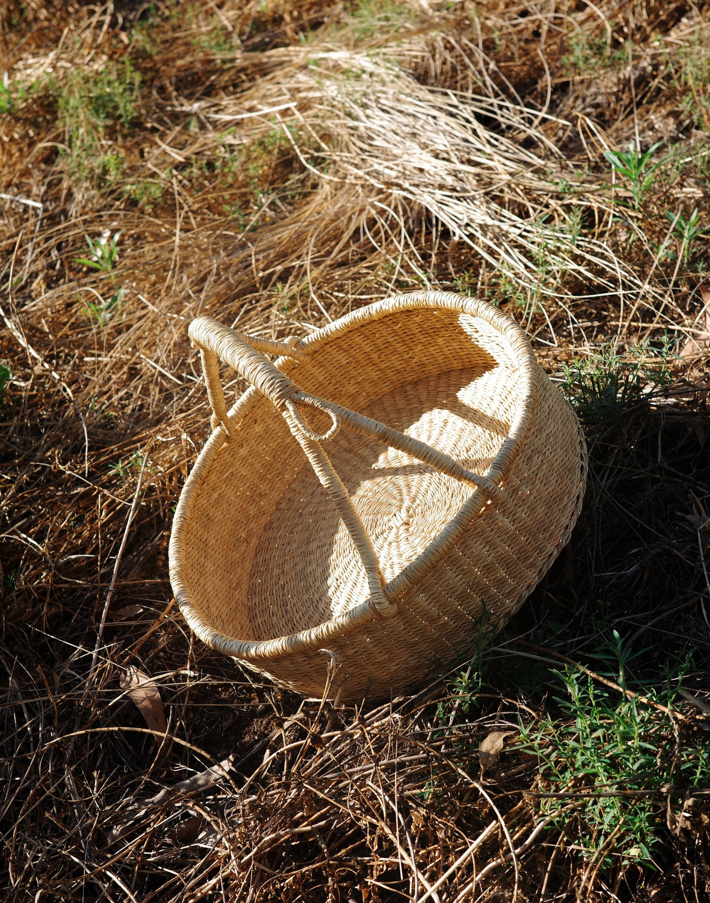 Ojai Woven Harvest Basket